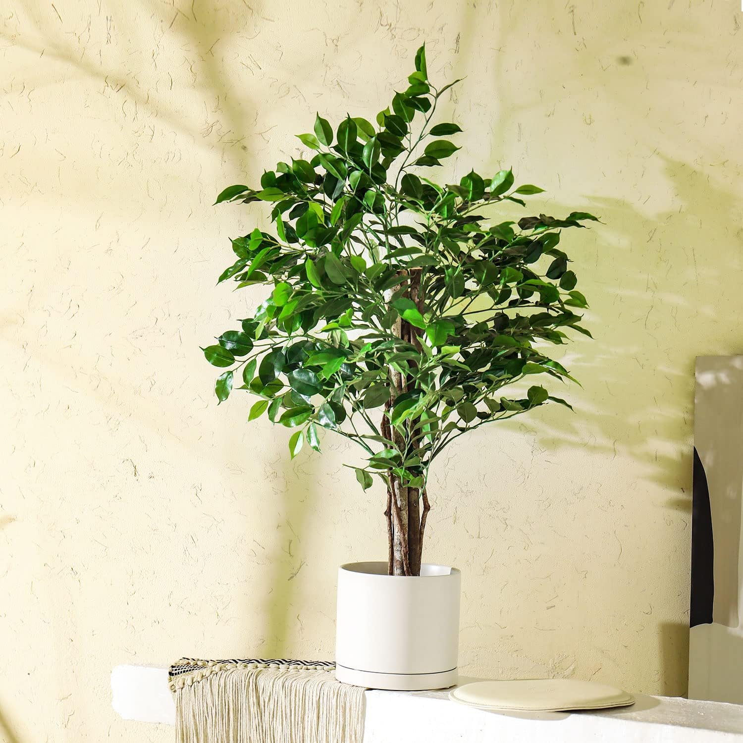 Aveyas 8 inch Ceramic Planter Pot with Drainage Hole & Saucer, Glazed Mid Century Modern Cylinder Medium Plants Pot for Indoor Floor Decor Monstera Snake Flower Fiddle Leaf Fig Pots(8inch Matte White) - Image 6