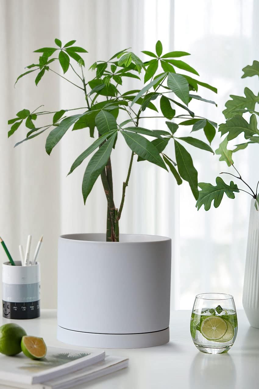 Aveyas 8 inch Ceramic Planter Pot with Drainage Hole & Saucer, Glazed Mid Century Modern Cylinder Medium Plants Pot for Indoor Floor Decor Monstera Snake Flower Fiddle Leaf Fig Pots(8inch Matte White) - Image 8