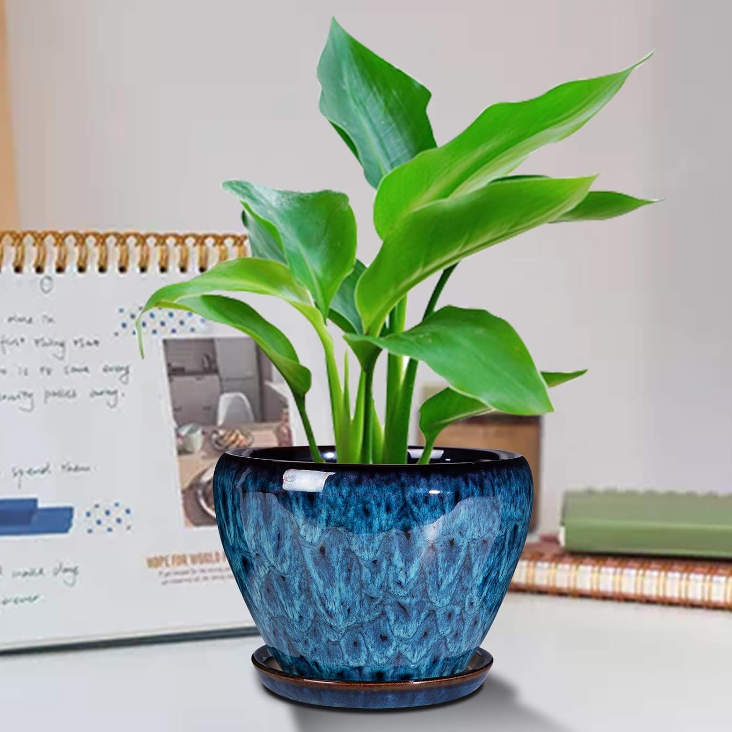 Ceramic Modern Glaze Succulent Planter Pot with Drainage Hole and Saucer 6 Inch Round Flower Plant Pot for Indoor Outdoor Herb Snake Plants - Image 4