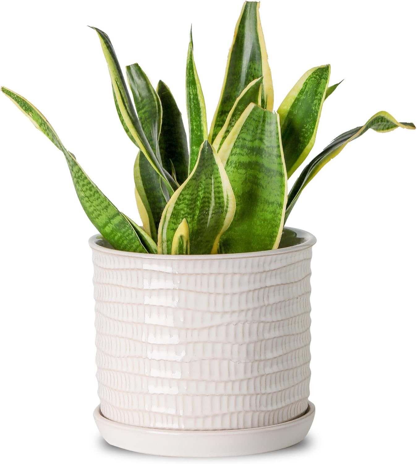 Chubacoo 8 Inch Plant Pots : Ceramic Planter Pot with Drainage Hole & Saucer - Blue Flower Pot for Indoor & Outdoor Plants - Round Decorative Flowerpot with Tray for Garden\/Home - Image 7