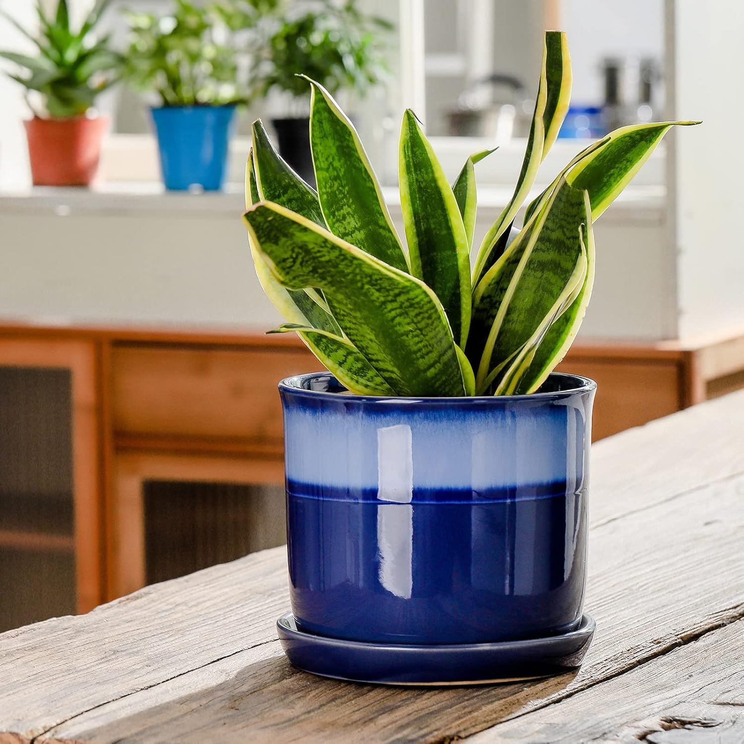 Chubacoo 8 Inch Plant Pots : Ceramic Planter Pot with Drainage Hole & Saucer - Blue Flower Pot for Indoor & Outdoor Plants - Round Decorative Flowerpot with Tray for Garden\/Home - Image 5