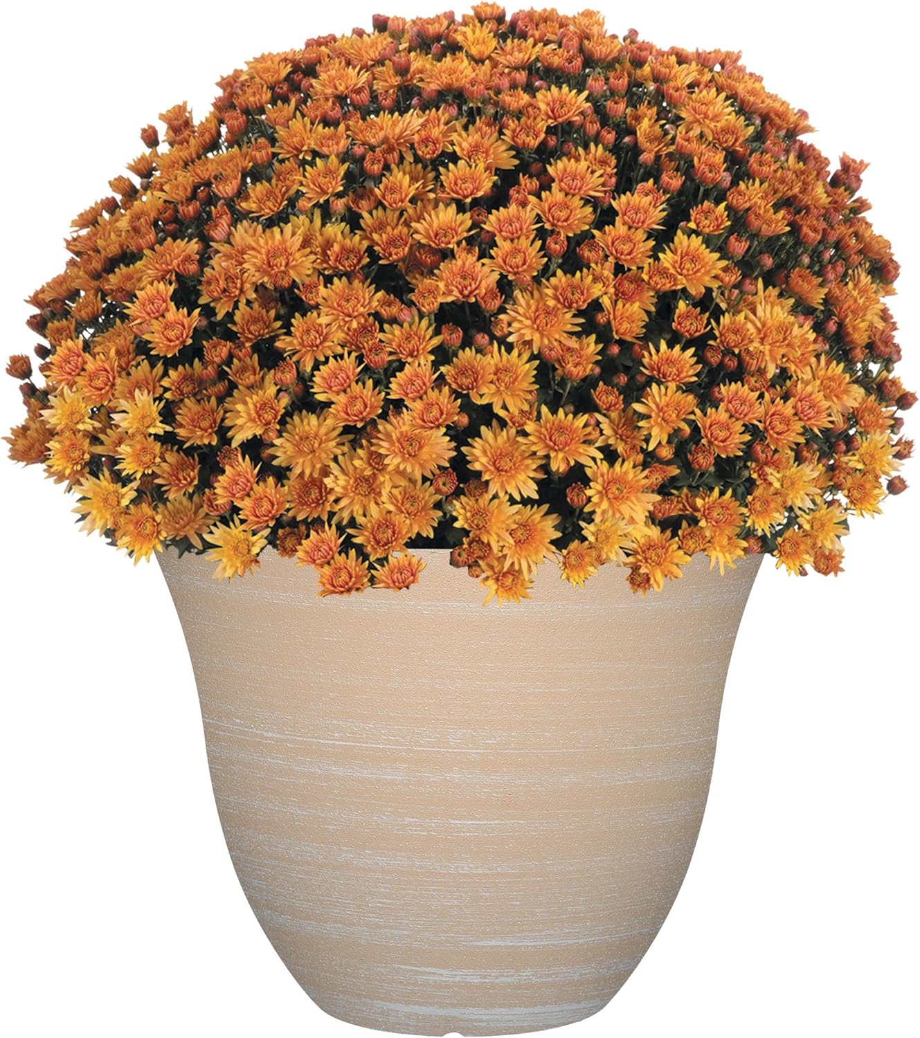 Classic Home and Garden Honeysuckle Resin Flower Pot Planter, Beige, 15" - Image 4