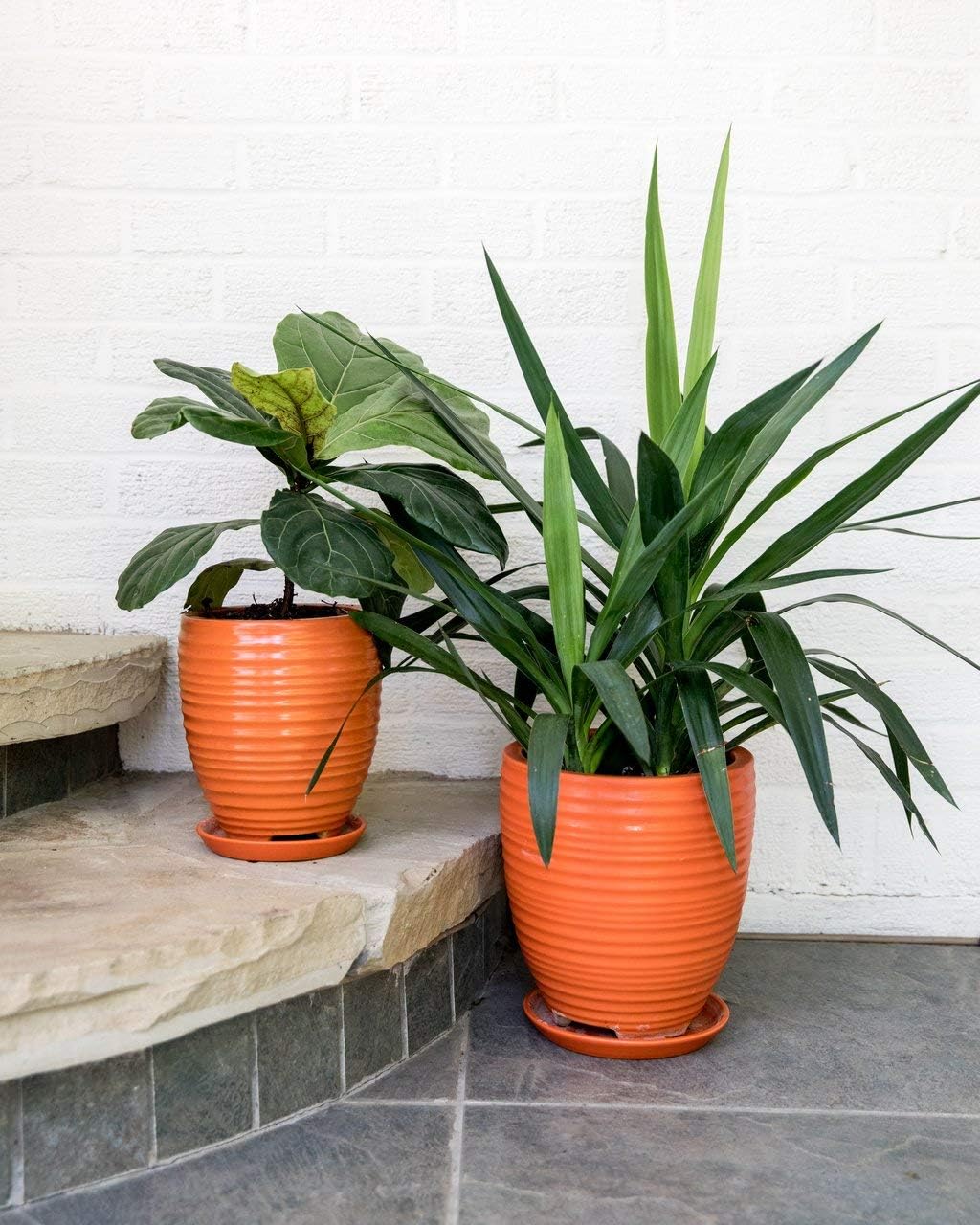 Gardenuity Orange Ceramic Plant and Flower Pots - Small 8\u201D x 7\u201D - for Indoor Plant Pots & Outdoor Planter