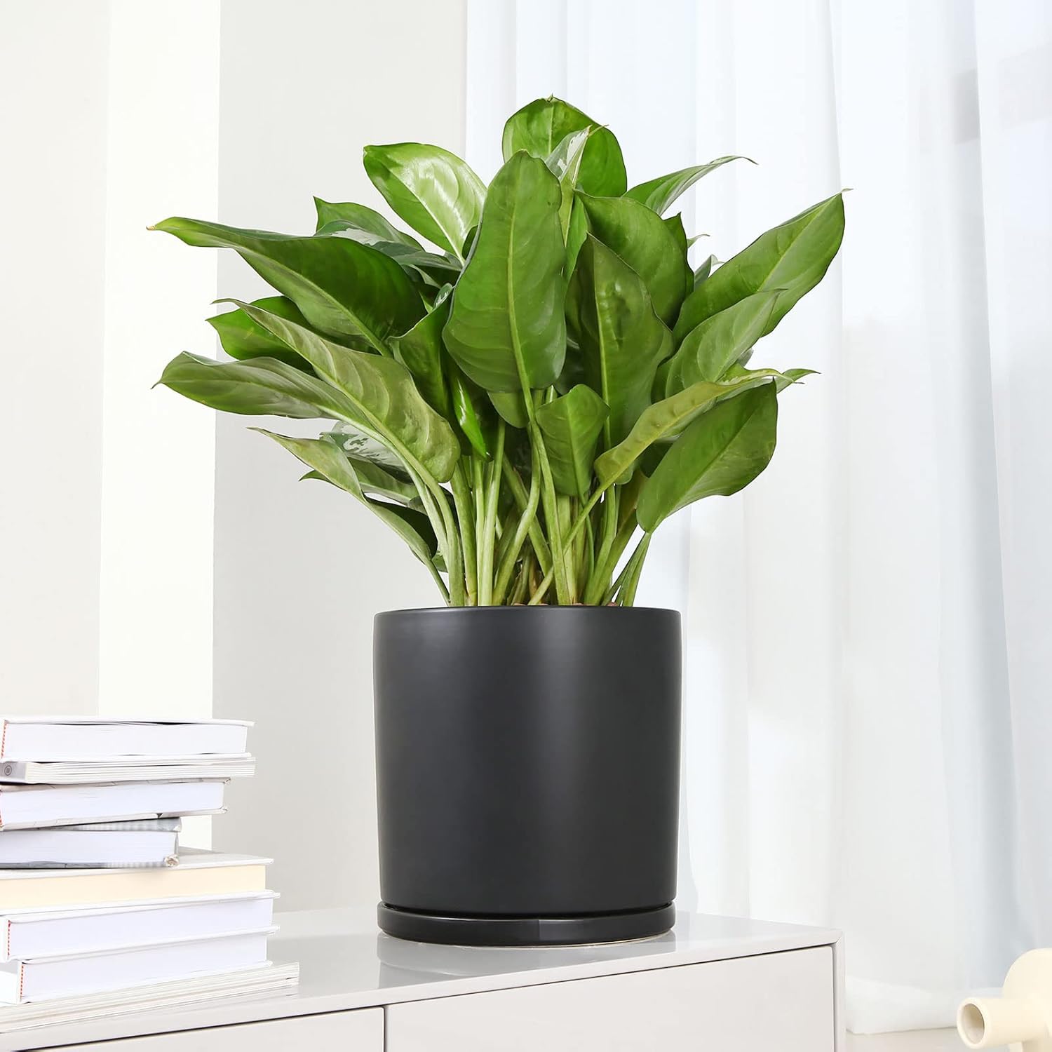 Kazeila Plant Pots Ceramic Planter for Indoor Outdoor Plants Flowers 10 Inch Matte Black Large Cylinder Flower Pot with Saucer and Drainage Hole,Glazed Finish Interior and Exterior - Image 2