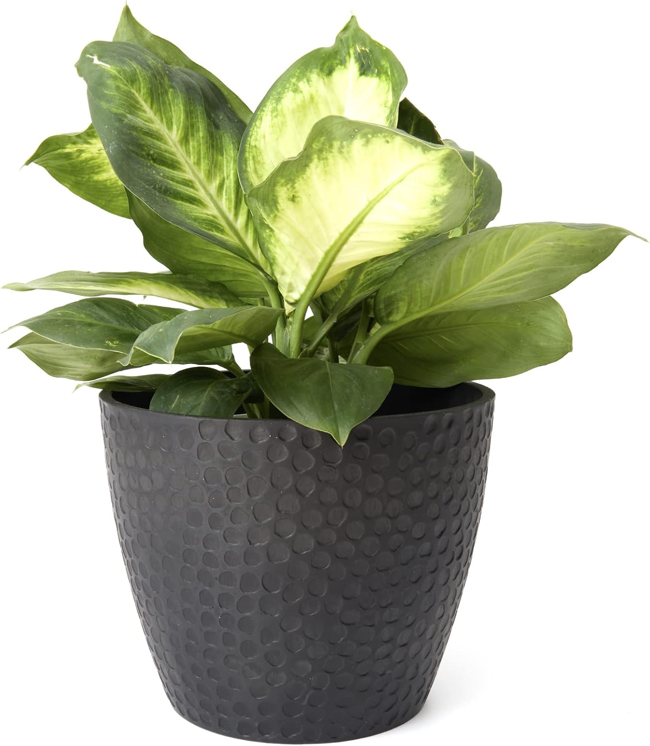 LA Jolie Muse 9.4 inch Plant Pot for Indoor and Outdoor Plants, Modern Chic Planter,Honeycomb Pattern,Storm Gray - Image 14