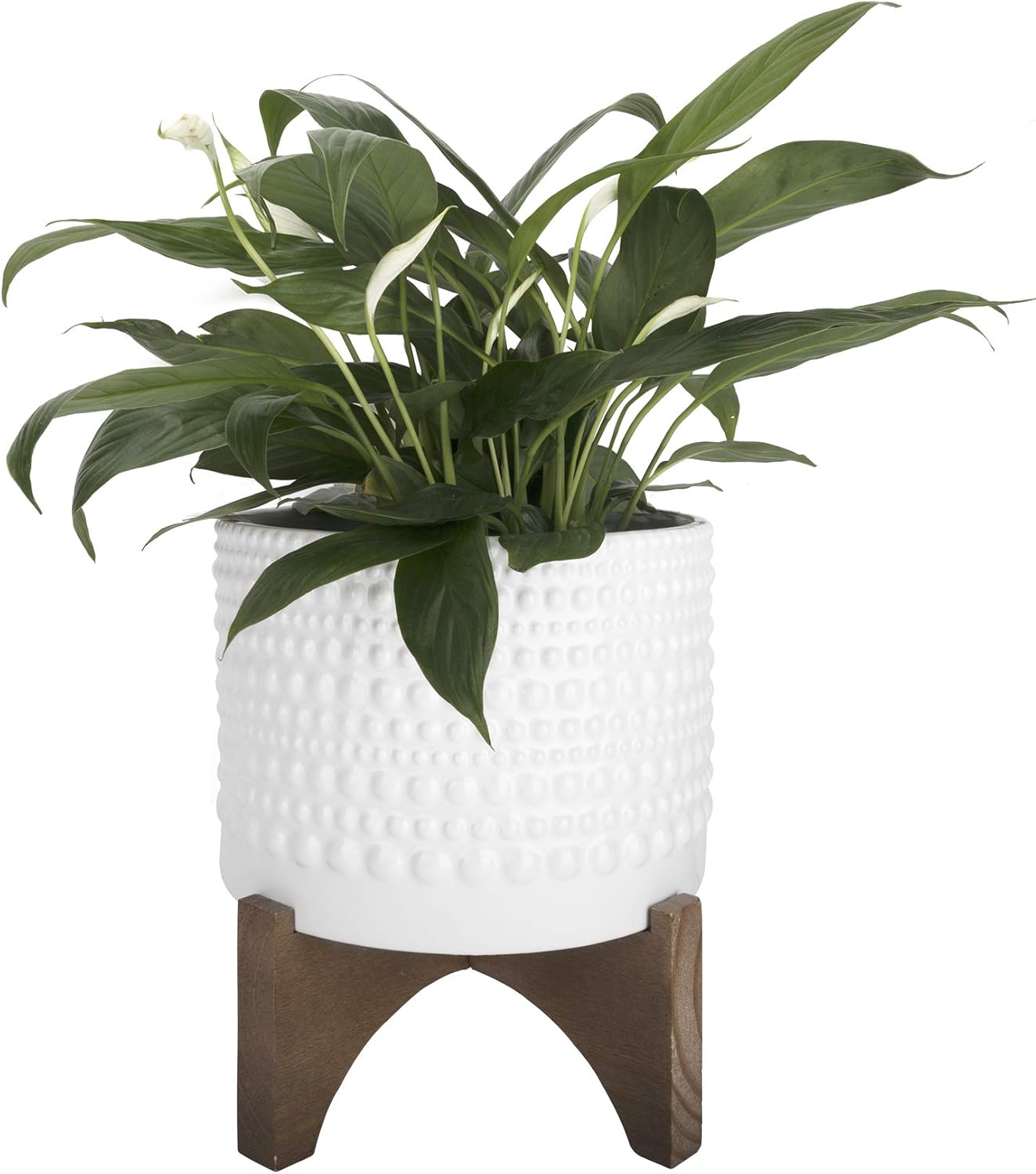 LA JOLIE MUSE Ceramic Planter with Wood Stand - 8 Inch White Cylinder Embossed Hobnail Patterned Flower Plant Pot Indoor