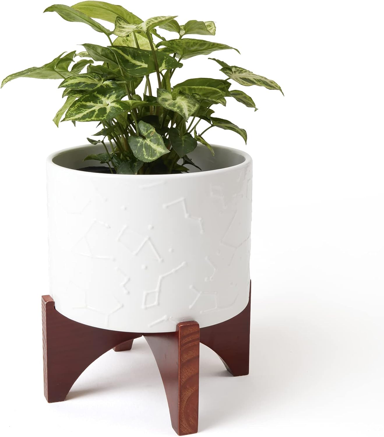 LA JOLIE MUSE Ceramic Planter with Wood Stand - 8 Inch White Cylinder Embossed Hobnail Patterned Flower Plant Pot Indoor - Image 13