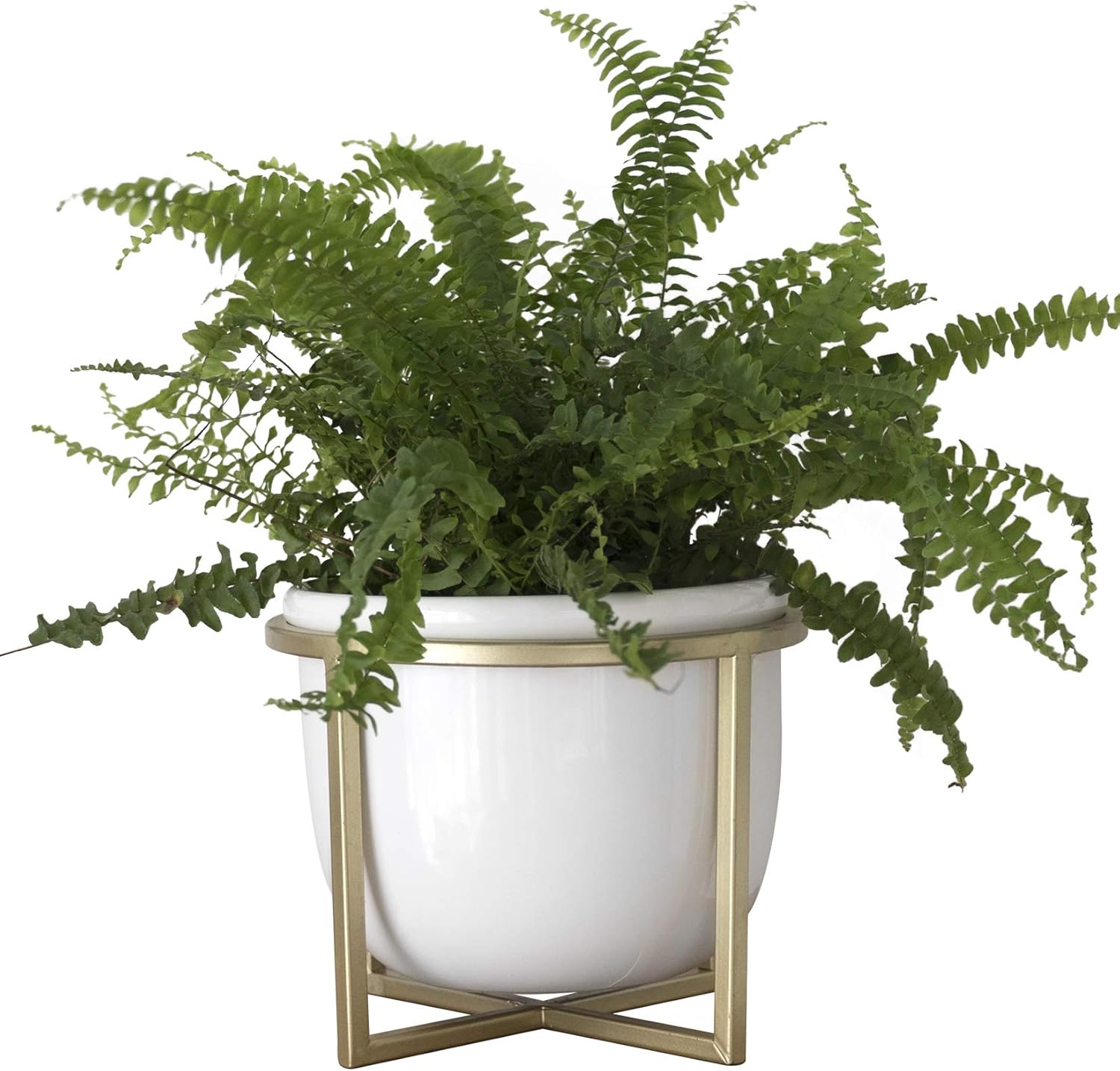 LA JOLIE MUSE Ceramic Planter with Wood Stand - 8 Inch White Cylinder Embossed Hobnail Patterned Flower Plant Pot Indoor - Image 12