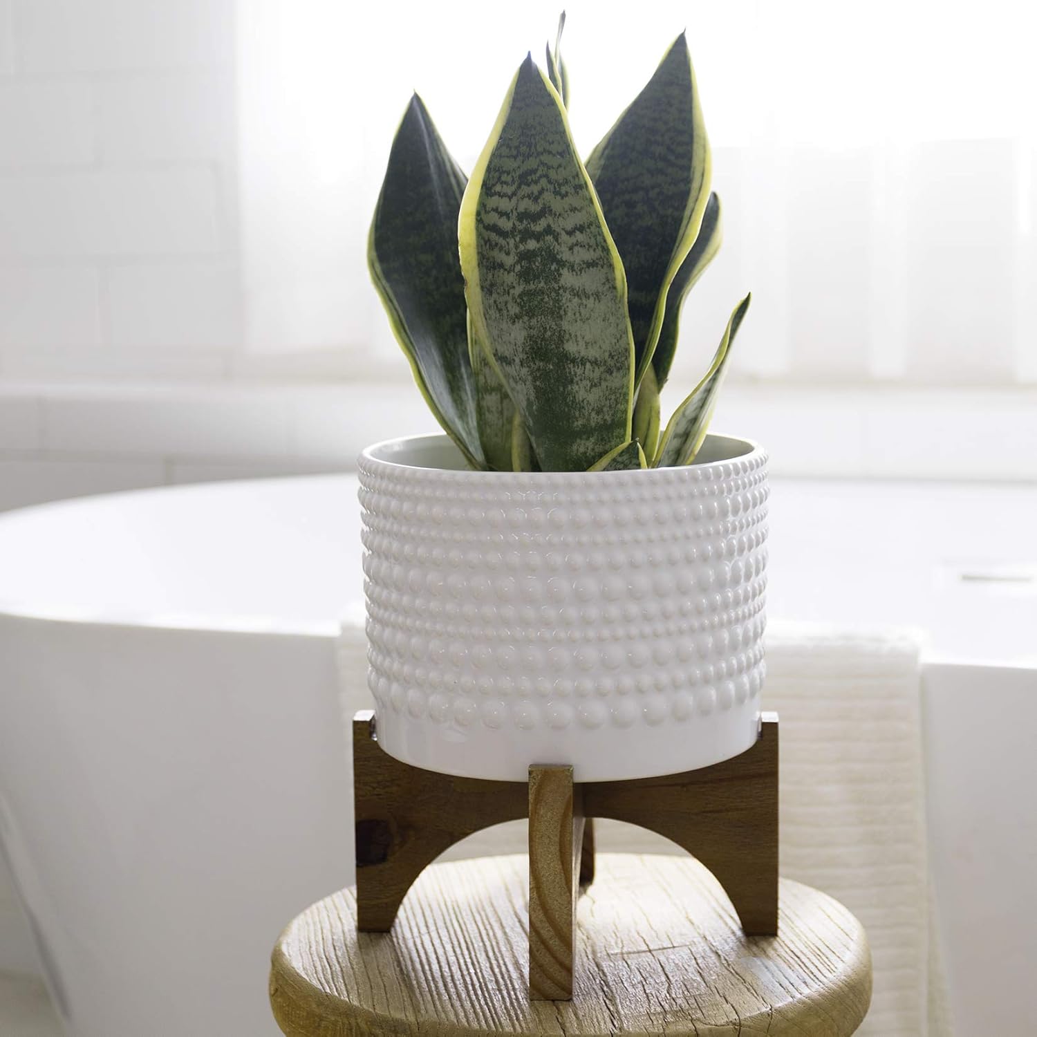 LA JOLIE MUSE Ceramic Planter with Wood Stand - 8 Inch White Cylinder Embossed Hobnail Patterned Flower Plant Pot Indoor - Image 8