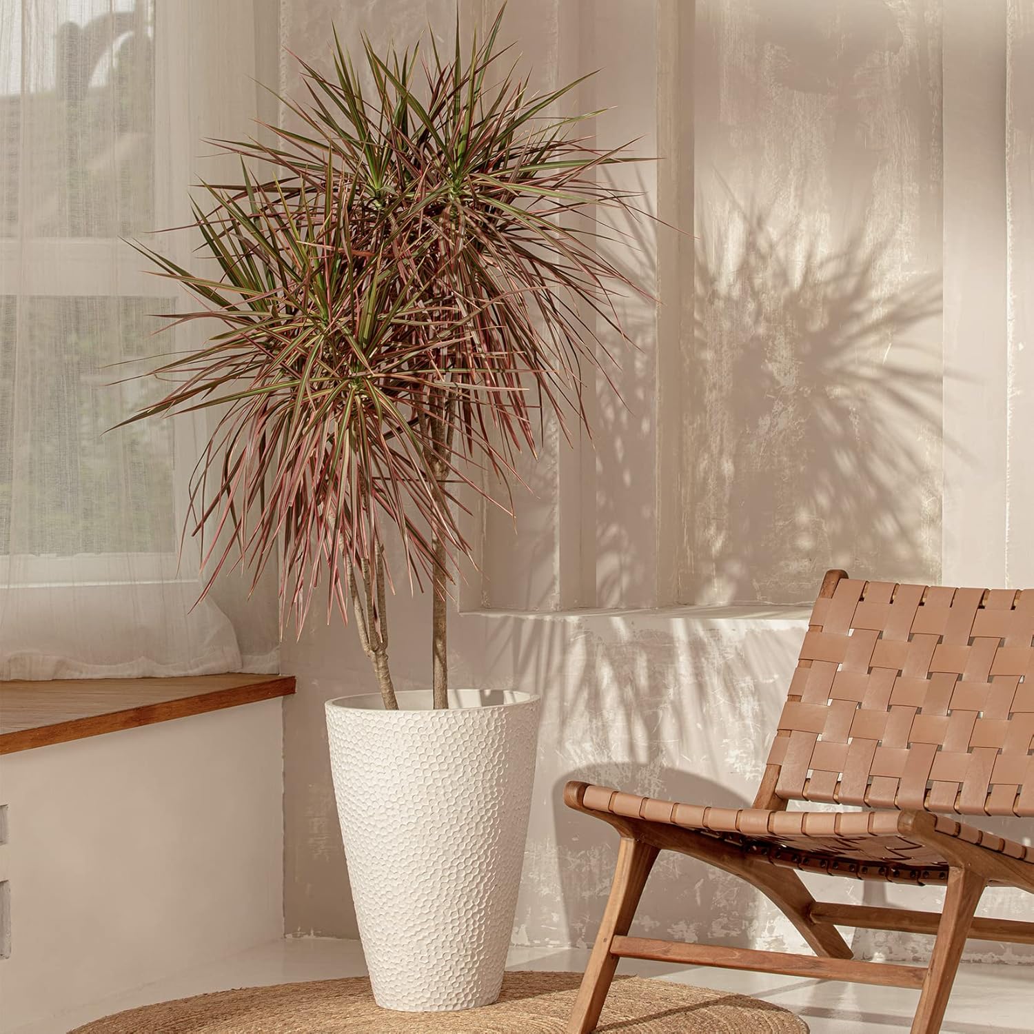 LA JOLIE MUSE Tall White Planter for Outdoor Plants,20 Inch Indoor Tree Planter, Modern Flower Pot Containers,Large Decorative Plant Pot,1 Pack - Image 7