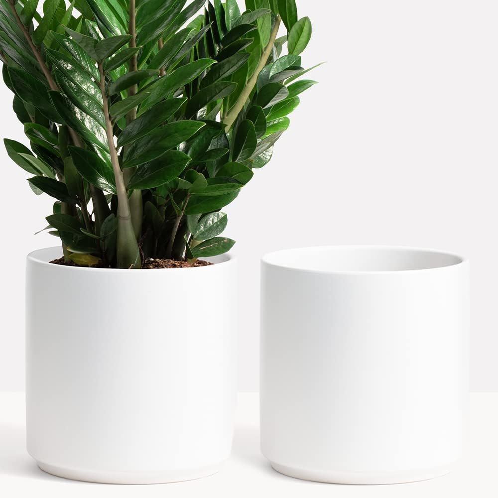 PEACH & PEBBLE 7 Inch (Set of Two) Gold Ceramic Planter. Classic Cylinder Plant Pot for House Plants and Indoor Plants (Drainage + Stopper Included). - Image 13