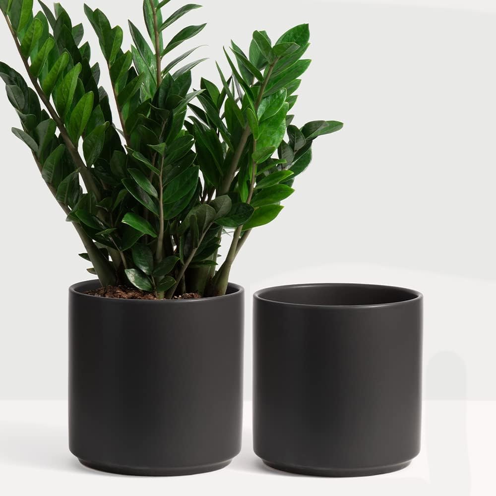 PEACH & PEBBLE 7 Inch (Set of Two) Gold Ceramic Planter. Classic Cylinder Plant Pot for House Plants and Indoor Plants (Drainage + Stopper Included). - Image 15