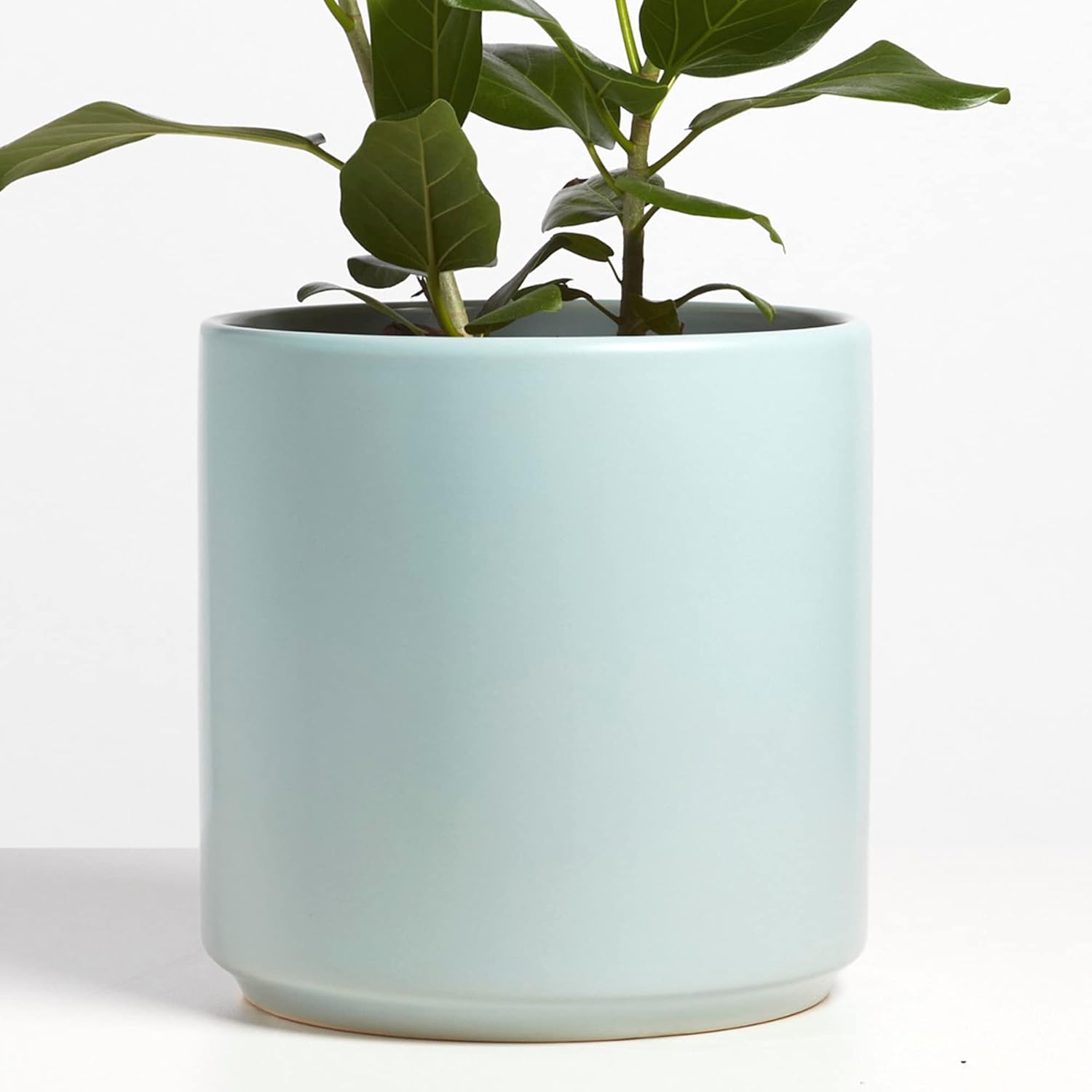 PEACH & PEBBLE 7 Inch (Set of Two) Gold Ceramic Planter. Classic Cylinder Plant Pot for House Plants and Indoor Plants (Drainage + Stopper Included). - Image 8