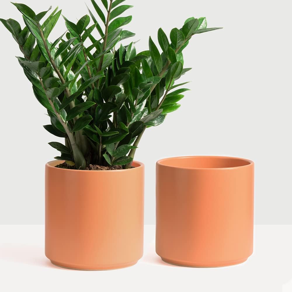 PEACH & PEBBLE 7 Inch (Set of Two) Gold Ceramic Planter. Classic Cylinder Plant Pot for House Plants and Indoor Plants (Drainage + Stopper Included). - Image 7