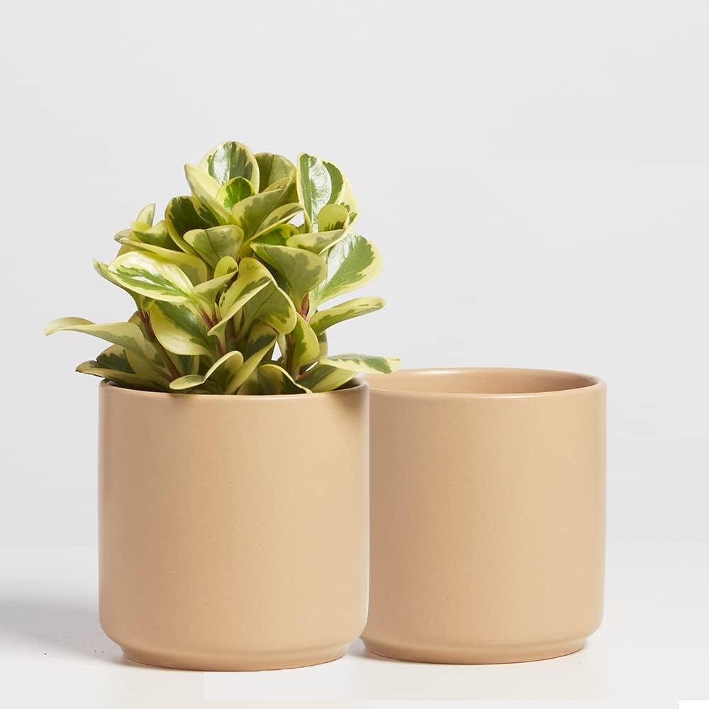 PEACH & PEBBLE 7 Inch (Set of Two) Gold Ceramic Planter. Classic Cylinder Plant Pot for House Plants and Indoor Plants (Drainage + Stopper Included). - Image 12