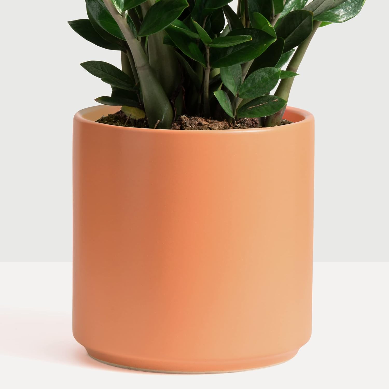 PEACH & PEBBLE 7 Inch (Set of Two) Gold Ceramic Planter. Classic Cylinder Plant Pot for House Plants and Indoor Plants (Drainage + Stopper Included). - Image 14