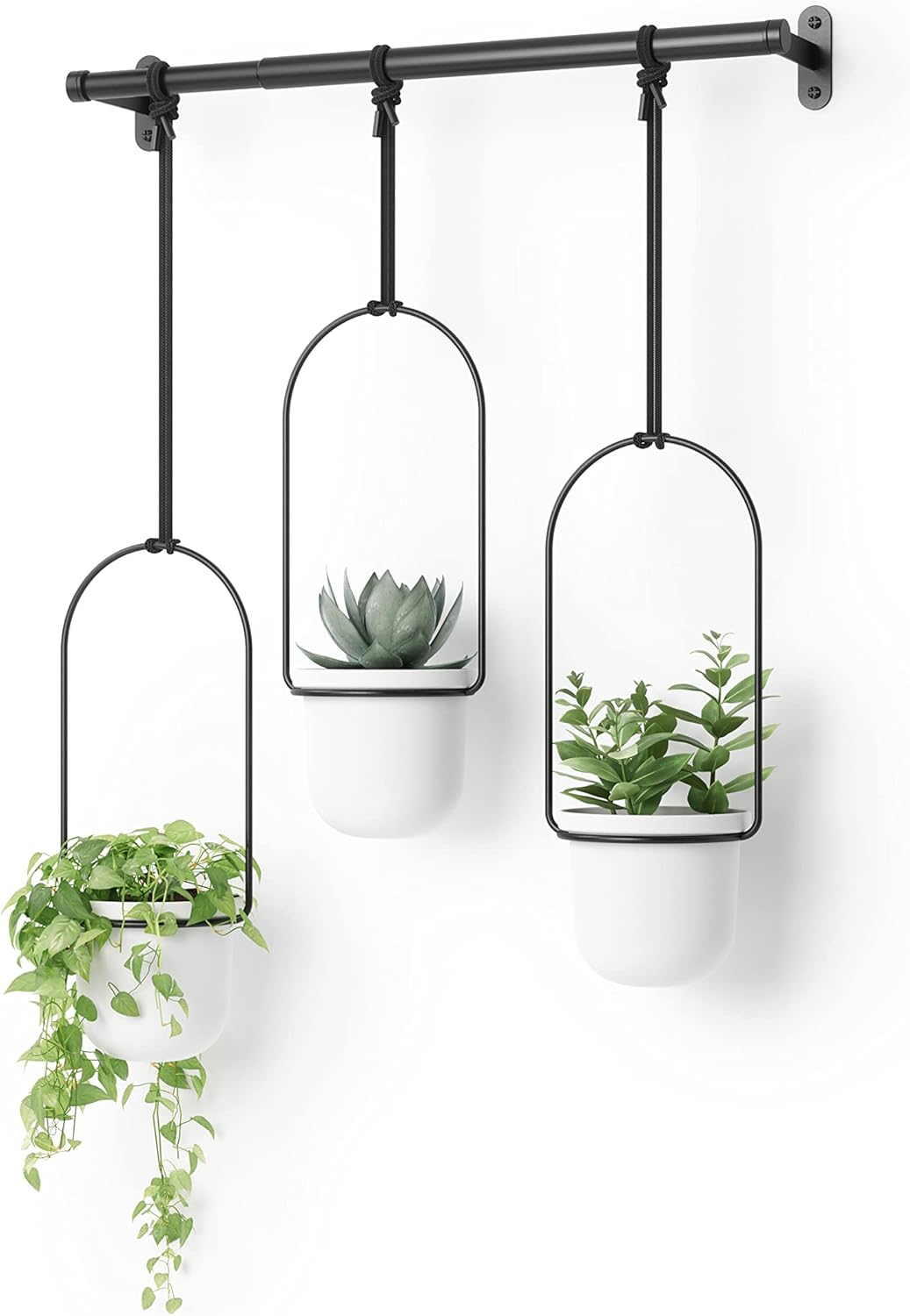 Umbra Triflora Hanging Planter for Window, Indoor Herb Garden, White\/Black, Triple