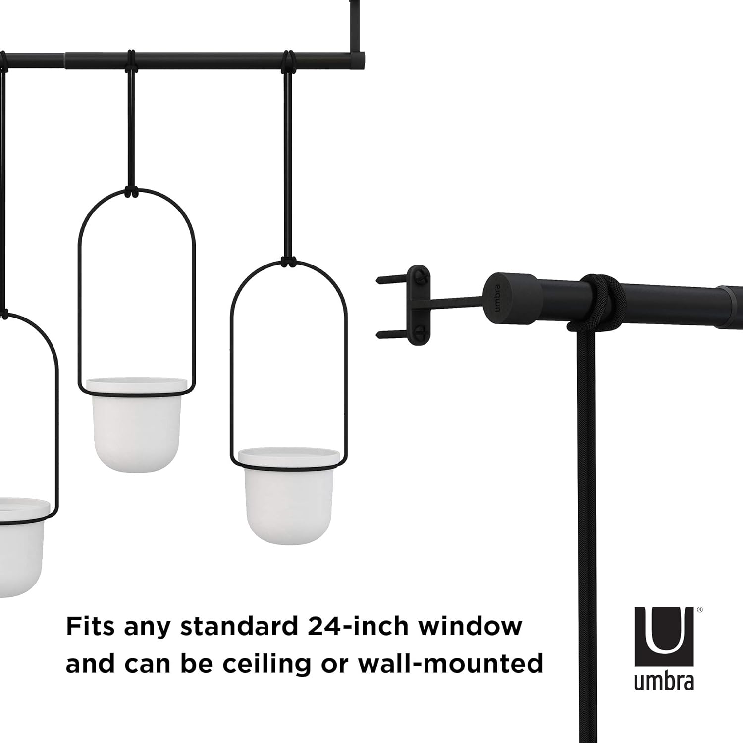 Umbra Triflora Hanging Planter for Window, Indoor Herb Garden, White\/Black, Triple - Image 7