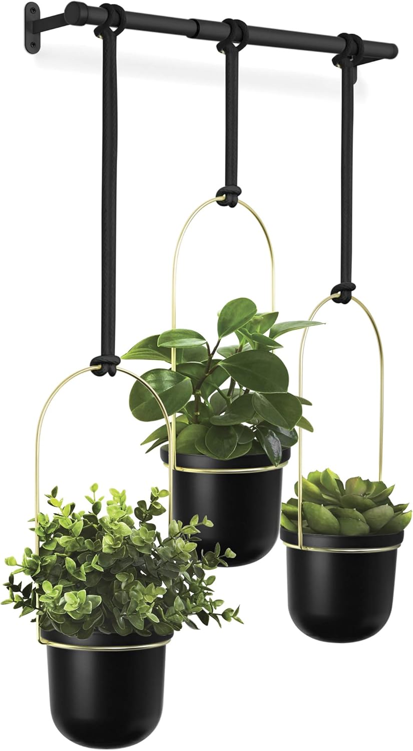 Umbra Triflora Hanging Planter for Window, Indoor Herb Garden, White\/Black, Triple - Image 9
