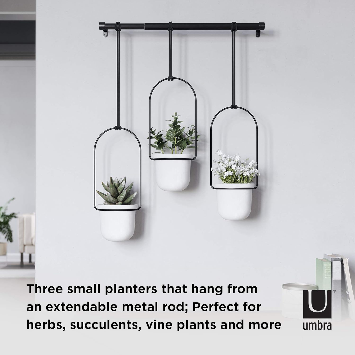 Umbra Triflora Hanging Planter for Window, Indoor Herb Garden, White\/Black, Triple - Image 8
